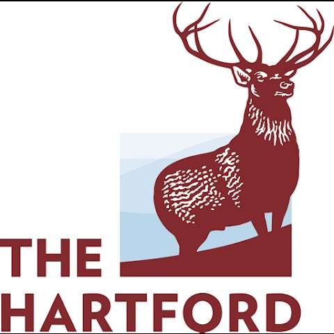 Jobs in The Hartford - reviews